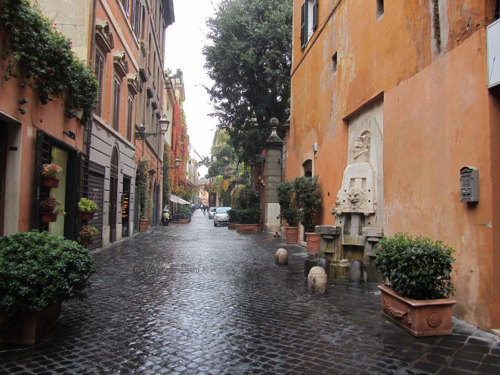 Margutta'S Garden — Photos 3